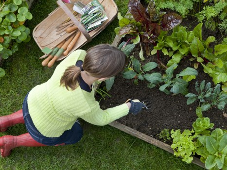 Professional patio cleaning service in Colyers at work