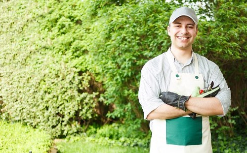 Expert using advanced techniques in patio cleaning