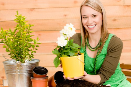 Using eco-friendly cleaning solutions on a patio