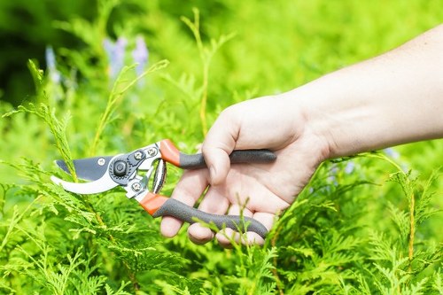 Professional patio cleaning process using eco-friendly solutions