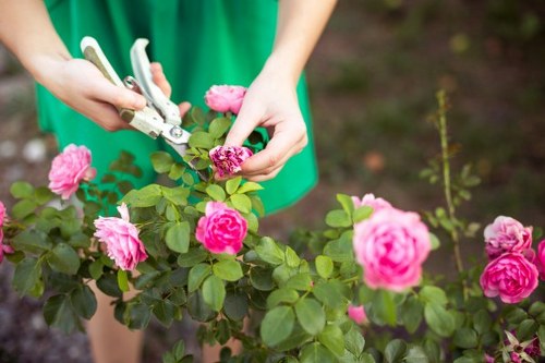 Patio cleaning benefits highlighting safety and beauty