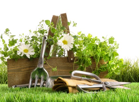 Effective patio cleaning techniques demonstration