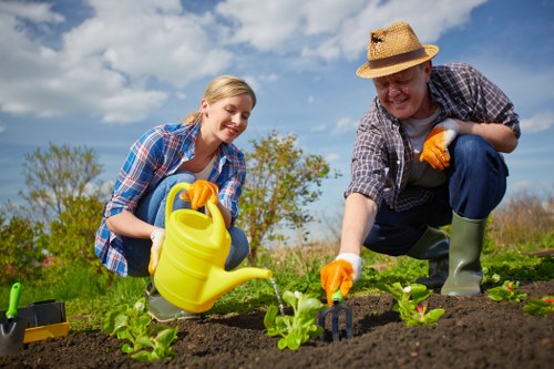 Eco-friendly cleaning process for patio