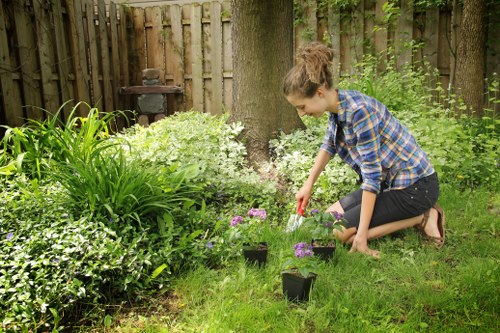 Professional patio cleaning process with equipment