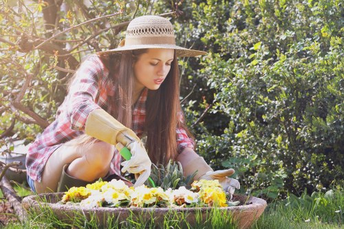 Eco-friendly patio cleaning equipment