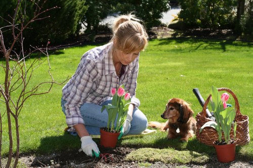 Homeowner maintaining a spotless outdoor patio using modern tools