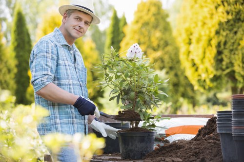 Expert using eco-friendly cleaning methods on a patio