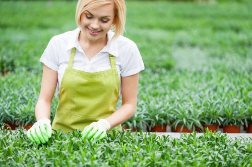 Effective patio cleaning tools and techniques in use