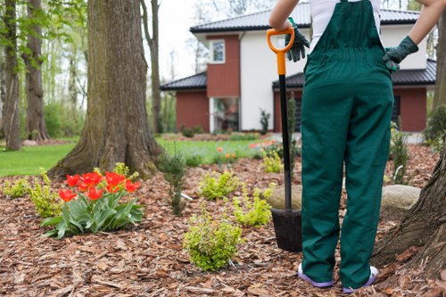 Professional team cleaning a patio surface