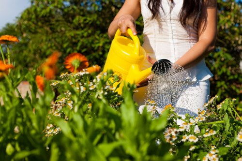 Close-up of eco-friendly cleaning products on a patio surface