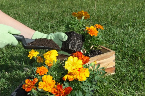 Eco-friendly cleaning process on a patio surface