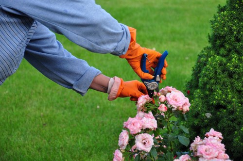 Eco-friendly cleaning products for patio cleaning in Dulwich