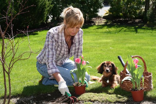 Eco-friendly cleaning process on a stone patio