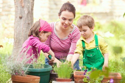 Sustainable and eco-friendly patio maintenance by specialists in London