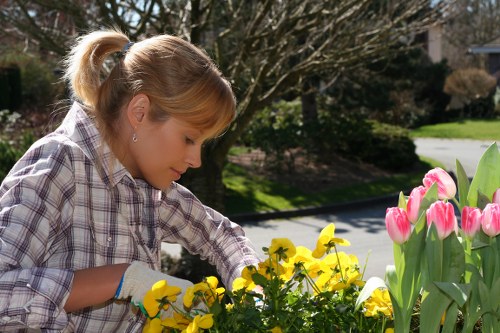 Benefits of regular patio maintenance in Brixton