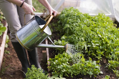 Eco-friendly cleaning process on a Woolwich patio with sustainable products