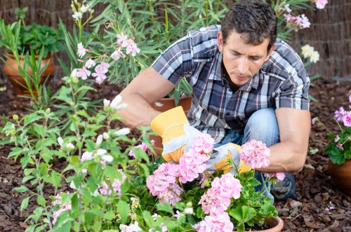 Expert cleaning techniques revitalizing a patio