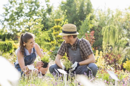 Map highlighting Southall and nearby areas for patio maintenance