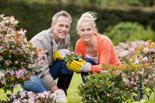 Technician using eco-friendly methods for patio cleaning